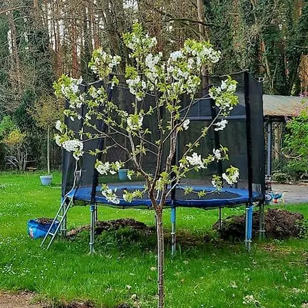 Haus Am Walde * Mullrose