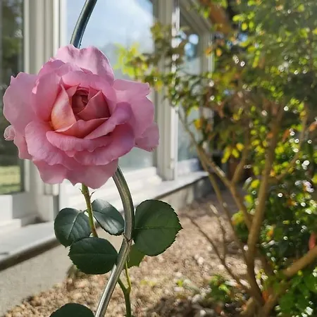 Haus Am Walde דירה Müllrose