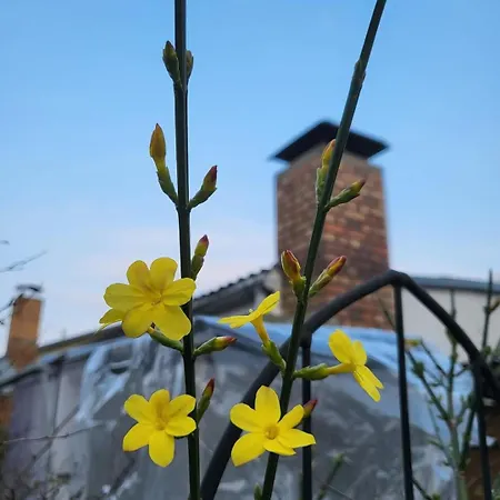 Haus Am Walde * Müllrose