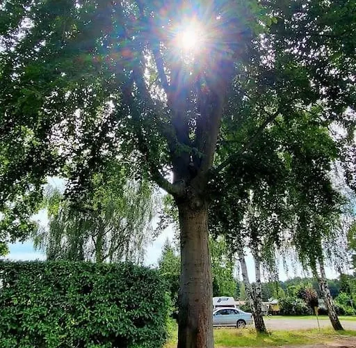 Apartamento Haus Am Walde *