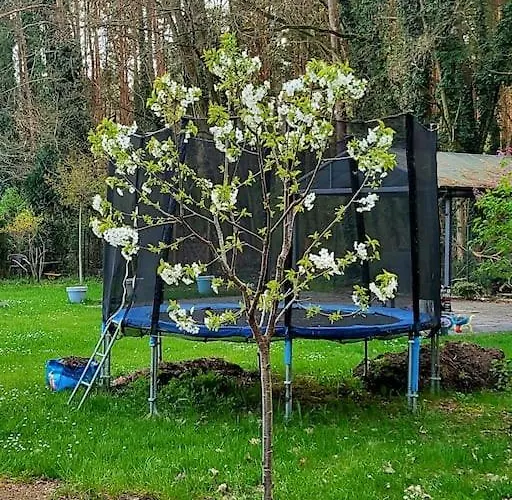 Haus Am Walde * Müllrose