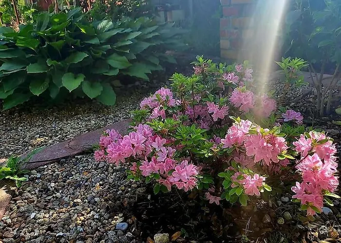 Haus Am Walde Apartamento