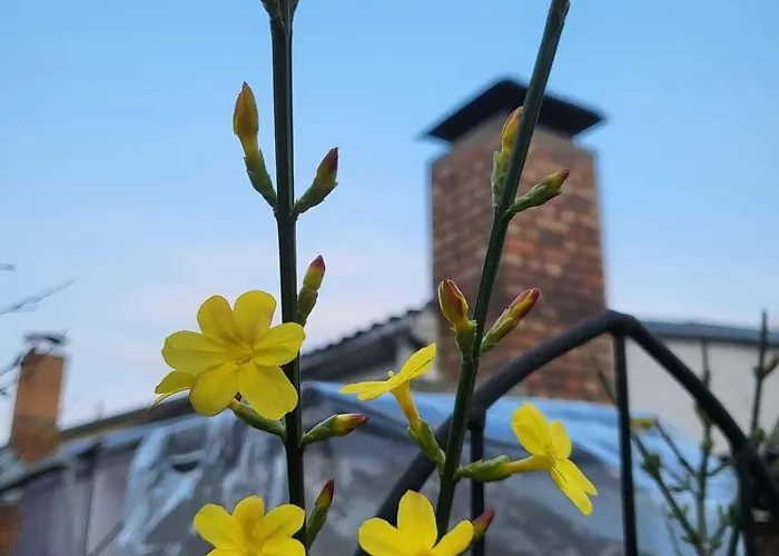 Haus Am Walde * Müllrose